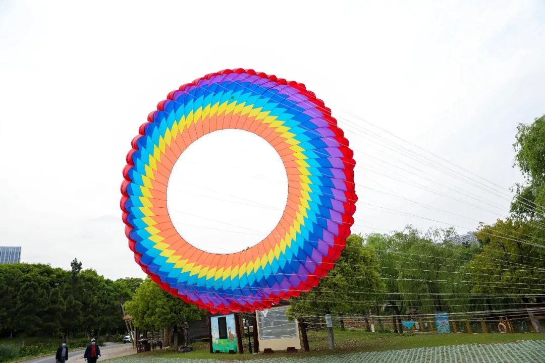 太酷了！实拍与神兽羊驼放风筝现场，动物园游玩新体验...