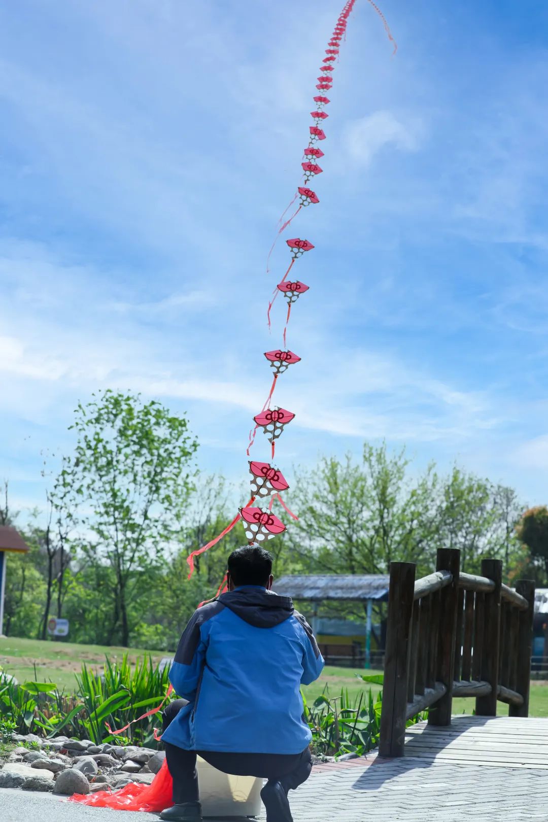 太酷了！实拍与神兽羊驼放风筝现场，动物园游玩新体验...