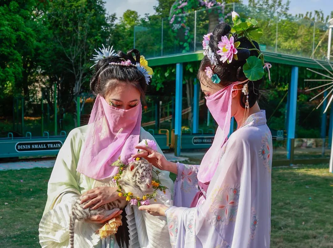 十二花神带您游淹城看神兽