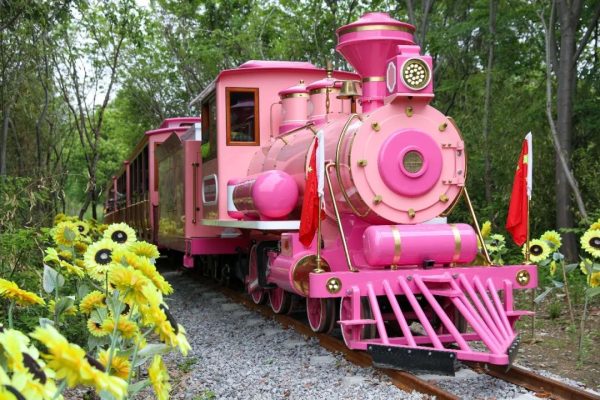 首批“动物”游客亮相,五一期间森林蒸汽小火车正式开放咯