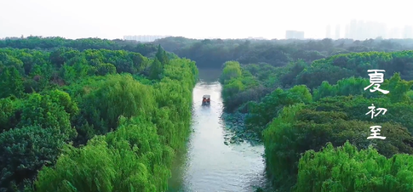 古城和郊野 我想要睡进夏天里