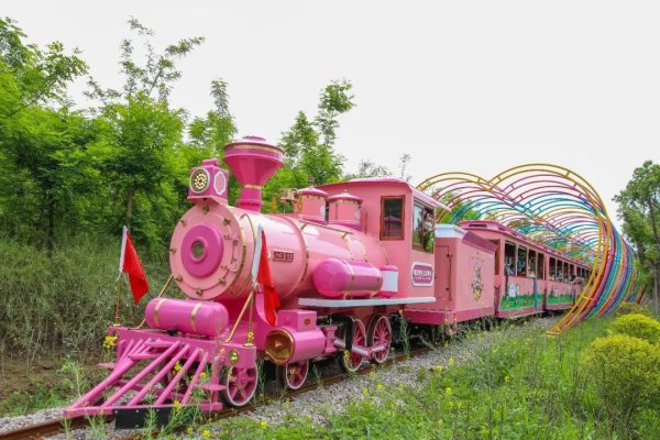 童趣六一,浓情端午,小长假来常州淹城动物园“粽”情狂欢