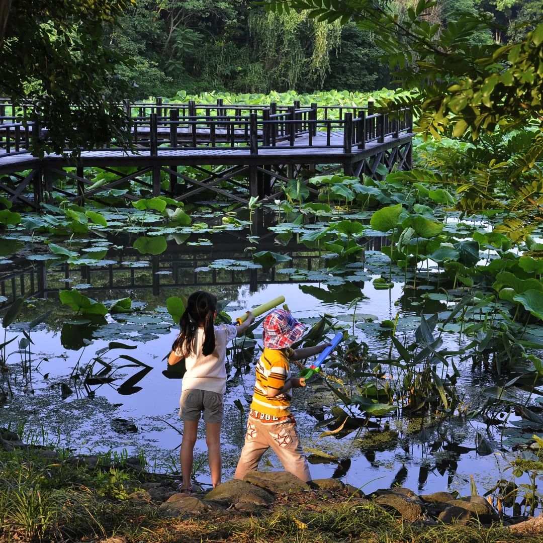 1元就能解锁的夏日快乐