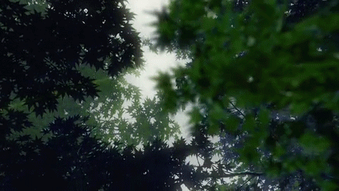5.18武博力量|武博有礼:中式“光色大师”恽南田