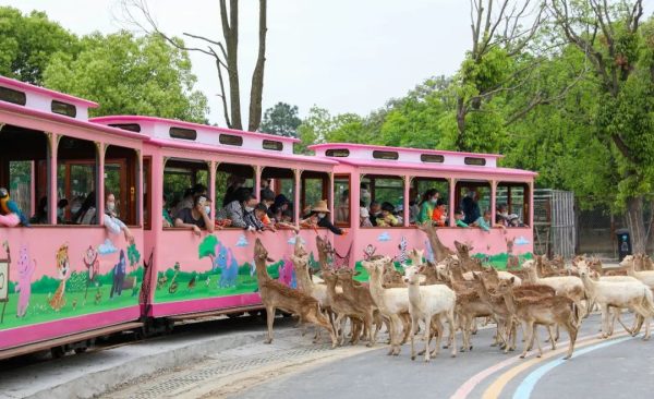 假期来临放肆嗨!百种萌兽、蒸汽小火车、水上玻璃滑道…酣畅狂欢,激情一夏!