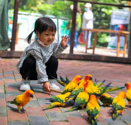 秋游正当时!快来get不一样的秋游照吧
