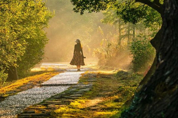 不会还有人没看过淹城的秋天吧