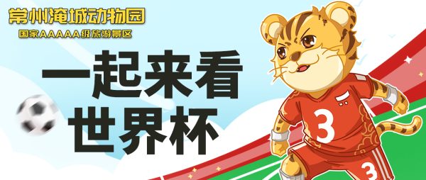 卡塔尔世界杯不愧是世界杯中的天花板,是懂惊喜的