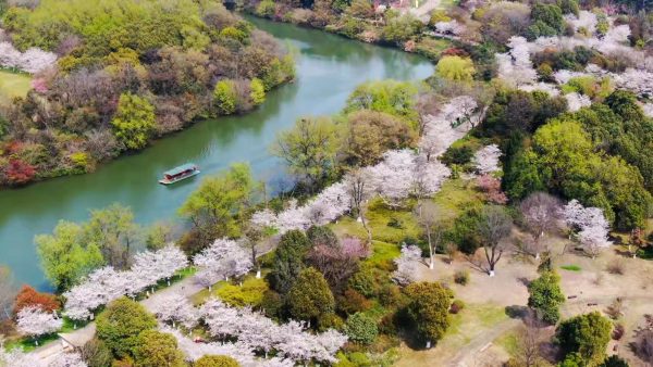 开挂年卡倒计时…你冲不冲?