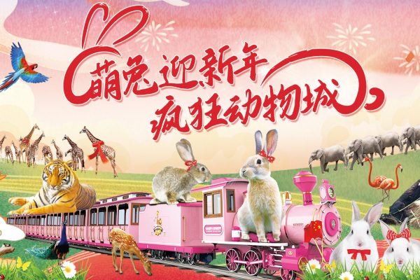 淹城野生动物世界丨萌兔亮相!新春疯狂动物城红红火火迎大年