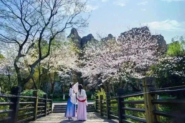 春暖花开，樱你而来！