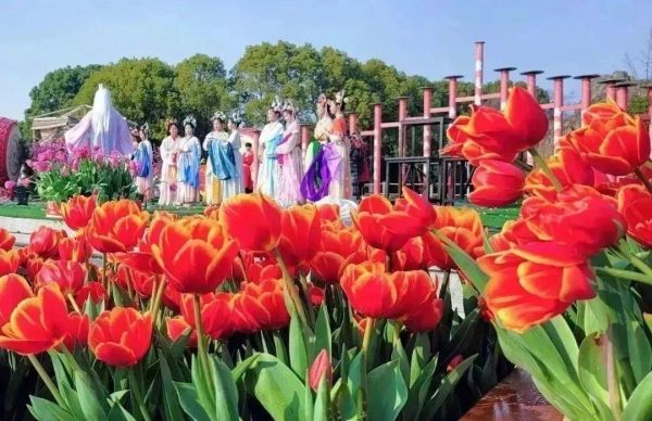 三月春日限定 淹城与你美好相约