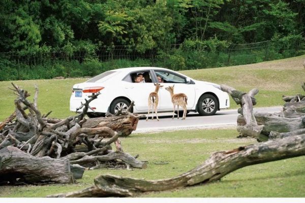 为快乐“搬砖” | 史上最萌“打工人”来报到!五一的快乐都在这里了!