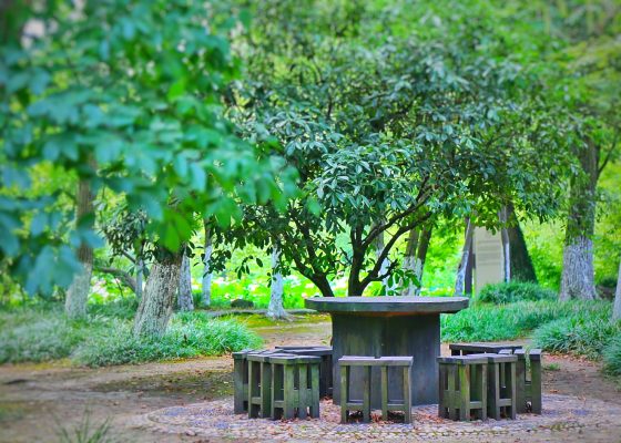 一不小心,闯入了宫崎骏画笔下的夏天……