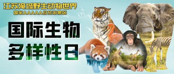 国际生物多样性日丨科普动物保护知识,“共建”美好家园