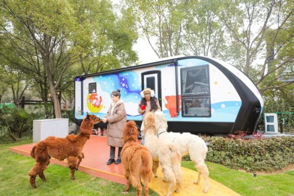 小熊猫部落软萌上新!住在动物园里,与万兽“共眠”…