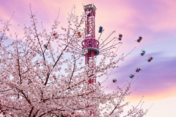 淹城春秋乐园丨年卡限时福利来啦！